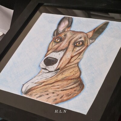 Handgezeichnetes Haustierporträt.  Detailliertes realistisches Originalkunstwerk. Hund, Katze, Haustiere, 
