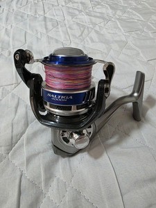 Daiwa Saltiga 4000h | eBay