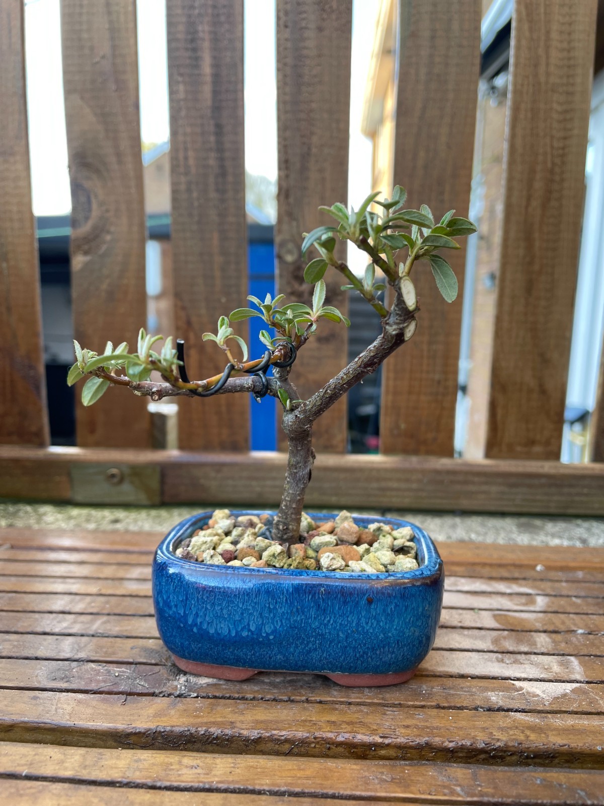 Picture 6 of 6