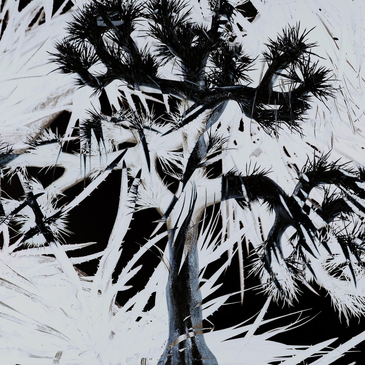 Plastic Tree CDまとめ売り Plastic Tree [Regular Edition] Plastic Tree [CD] | eBay UK