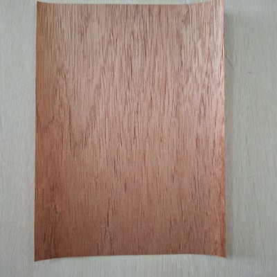 Spanische Zeder 10 Blatt für Zigarren Humidor / Machen Sie ein Verschütten nach Ihrer Wahl 
