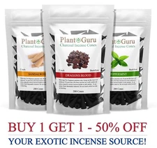 200 Jumbo Charcoal Incense Cones 2" BACKFLOW Bulk Waterfall Burner Holder Censer