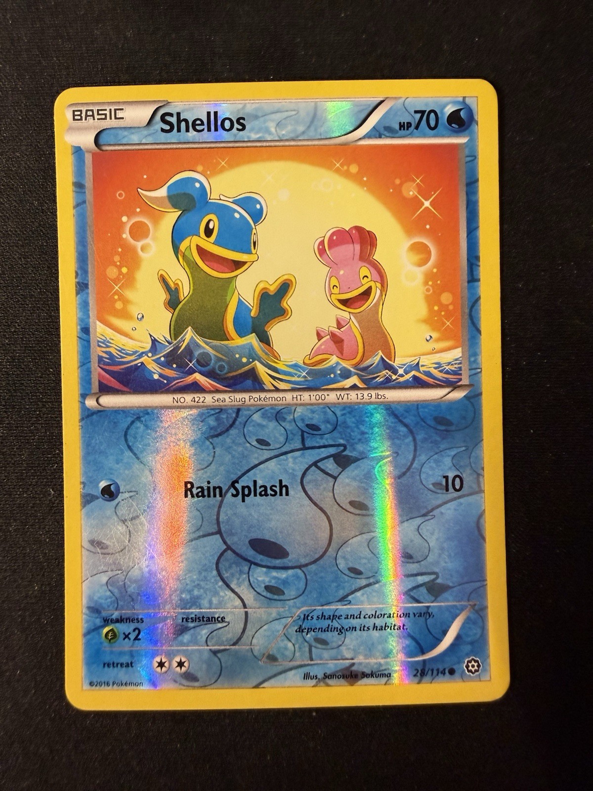 Pokémon Shellos XY Steam Siege 28/114 Reverse Holo Basic Common HP70 Rain Splash
