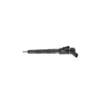 EinspritzdüSe Bosch 0445110248 FüR CitroëN Iveco Mitsubishi Peugeot Hyundai