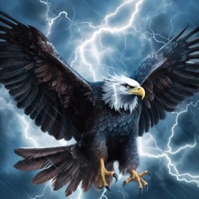 8 x 10 inch Collectible Art Print Highest Quality Photo Stock  522730684