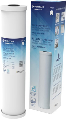 Pentair  TO8 Carbon Water Filter, 10'' Heavy Duty Big Blue Whole House Granular C