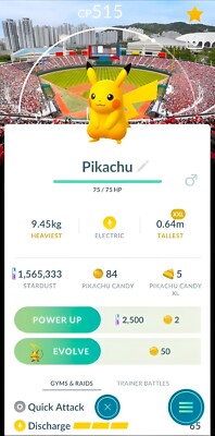 Pikachu XXL Sajik BG Busan Baseball Stadium | Tr-de Go  