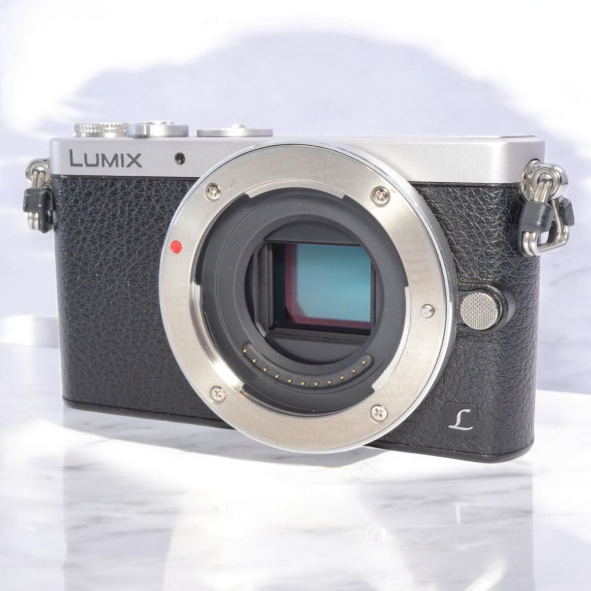 Panasonic LUMIX DMC-GM1 | eBay