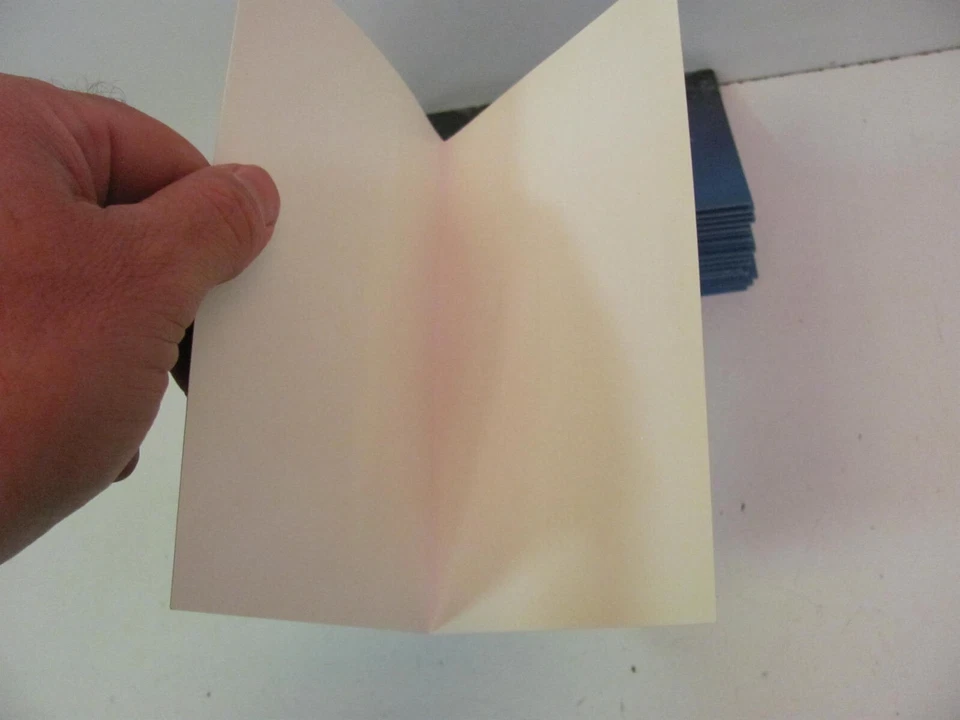 LOTE DE 20 TARJETAS DE NOTAS DE FELICITACIÓN DE TIBURÓN PUNTA PLATEADA IMPRESIONES A PIE Crane Creek Foto 4 de 4