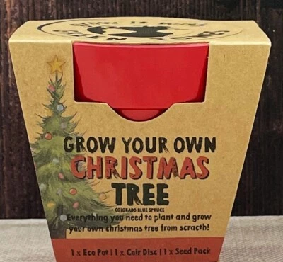 GREEN TONES ECO Grow Your Own Xmas Tree Seed Kit - Gardeners Kids Activity Present