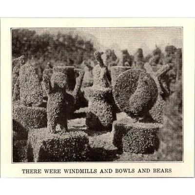 Windmills Bowls & Bears 1929 Little Dutch Tulip Girl Book Plate Print SAI5-H3