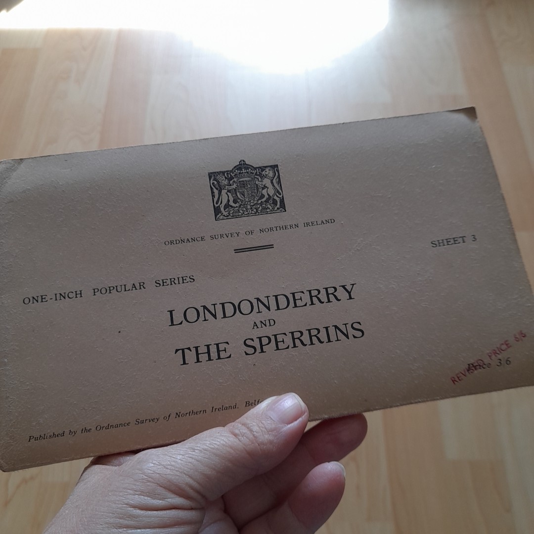 Surveyor Market Item for Sale