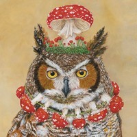 20 Servietten Pageant Queen KüNstlerisch Eule Tiere Kopfschmuck Pilze 33X33Cm