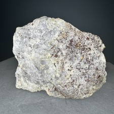 Nice Rich Native Gold & Uytenbogaardtite: Bullfrog Mine, Nye Co., Nevada- Rare!!