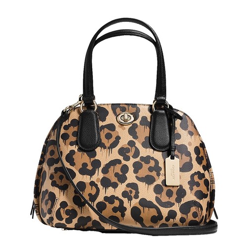 NWT Coach CAR21 Mini Skinny Id Case In Signature Canvas With