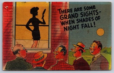 There are Some Grand Sights When Shades Of Night Fall Comic Vintage Postcard