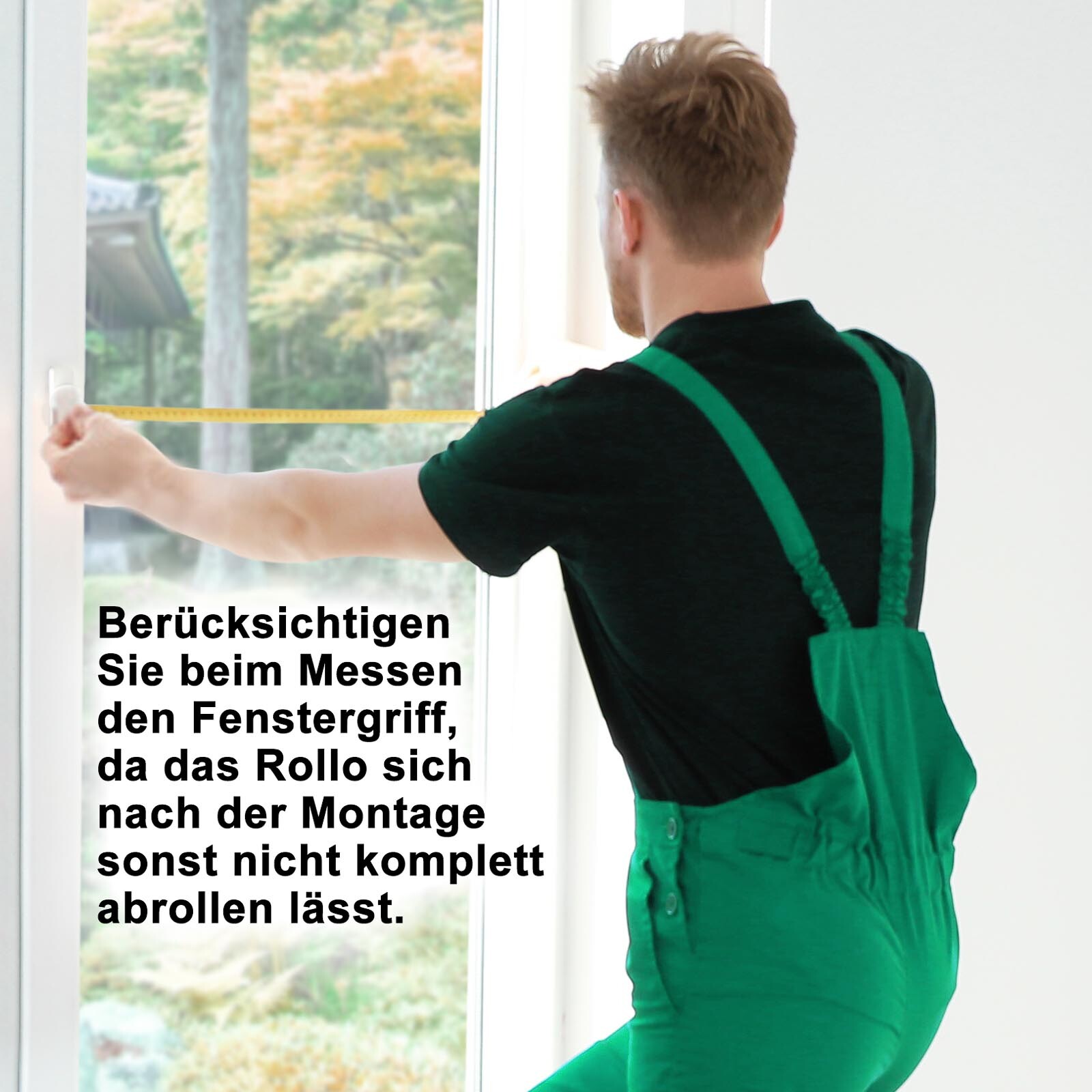 Bild 7 von 8