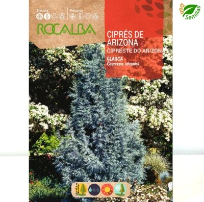 ROCALBA Ciprés de Arizona (Cupressus arizonica glauca) 2 gr / 200 semillas arbol Cipres