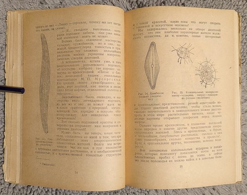 Занимательная ботаника 1951 А. Цингер Entertaining Botany A Zinger RARE - Imagen 10 de 16