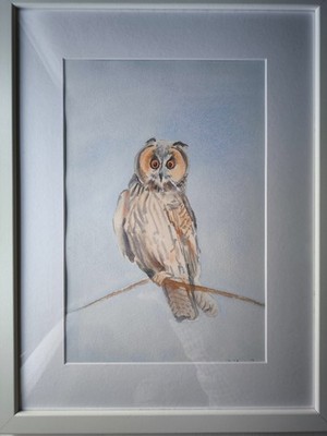 Aquarell. Eine einsame Eule. Vögel. Tiere. Größe ca 20x30 cm