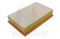 Motaquip Luftfilter LVFA1639 Filtereinsatz FüR Ford Transit V363 FED FFD FCD FDD