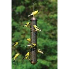 COPPER SPIRAL THISTLE NYJER FINCH BIRD FEEDER SONGBIRD ESSENTIALS FREE SHIP