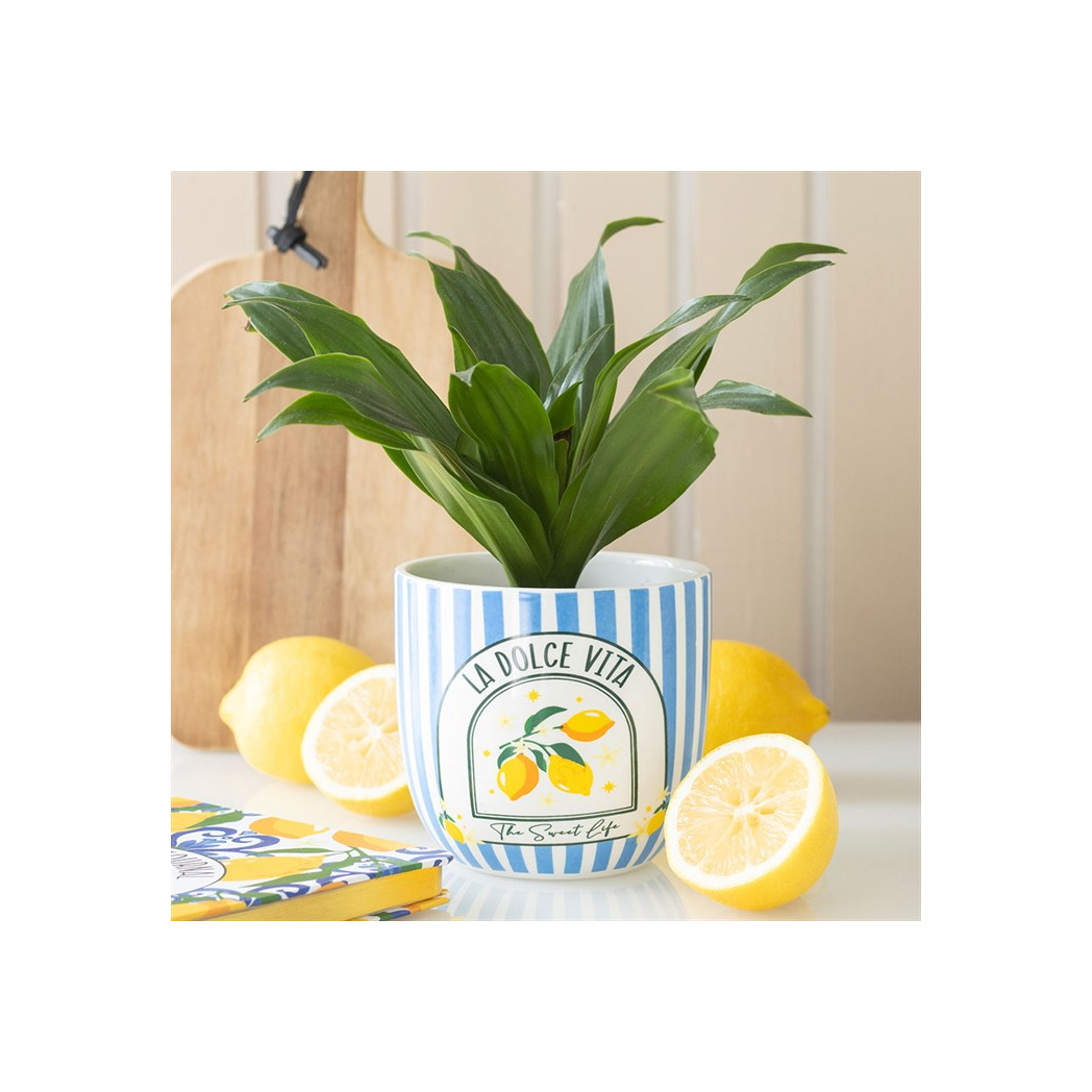 Blue Striped La Dolce Vita Plant Pot | Ceramic Indoor Planter Pot - Image 4