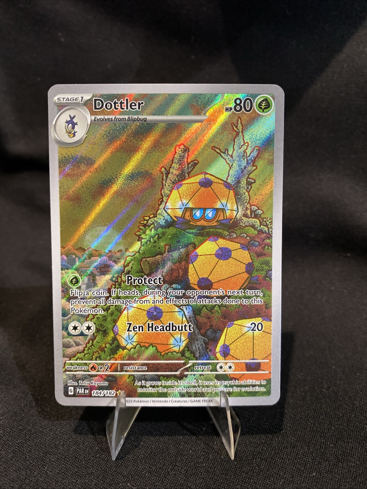 Dottler 184/182 Sv04: Paradox Rift Holo