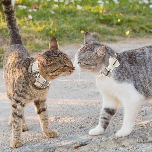 HJZHII 2-Pack Plaid Cat Collars – Breakaway Bowtie & Shirt Collar With Bells, Adjustable Safety Collars For Cats & Small Dogs - View #9