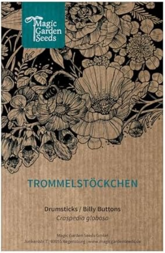 Drumstick (Craspedia globosa) - circa 80 semi dello speciale fiore reciso, fiore