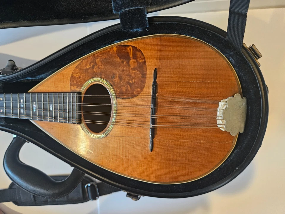 1919 C.F. Martin Style 2 Bowlback Mandolin 玻璃纤维盒 — 第 2/4 张图片