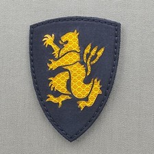 ST6 DEVGRU gold squadron reflective 4x3 seal team shield morale tactical patch