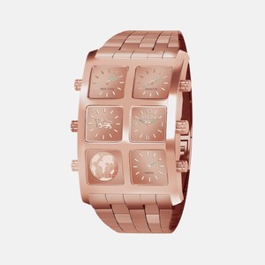 icelink watch ebay