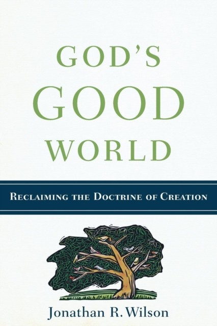 Gods Good World by Jonathan R Wilson PAPERBACK - Image 5