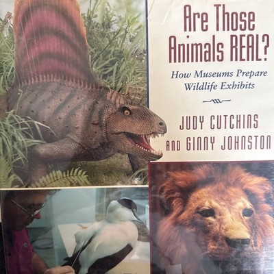 Are Those Animals Real?: How Museums Prepare Wildlife Exhibits