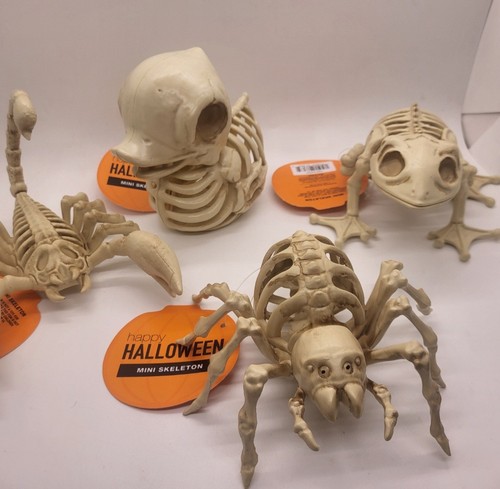 Menge 4 NEU Skorpion, Spinne, Frosch, Gummi Duckie Ente Halloween Skelett Dekor - Bild 2 von 7