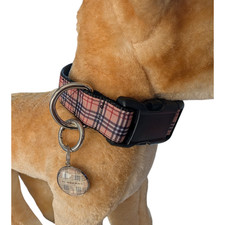Elegant dog collar, collar for dog, luxury collar for dog with removable tag LRG