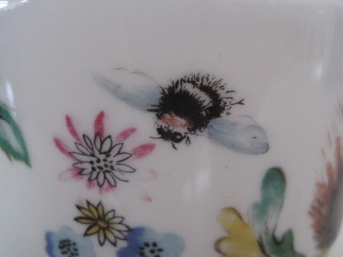 RARE MAXIME EGG CODDLER SKIPPETY DESIGN - Picture 18 of 21