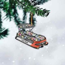Pontoon Christmas Light Ornament, Christmas Tree Decor, Pontoon Ornament