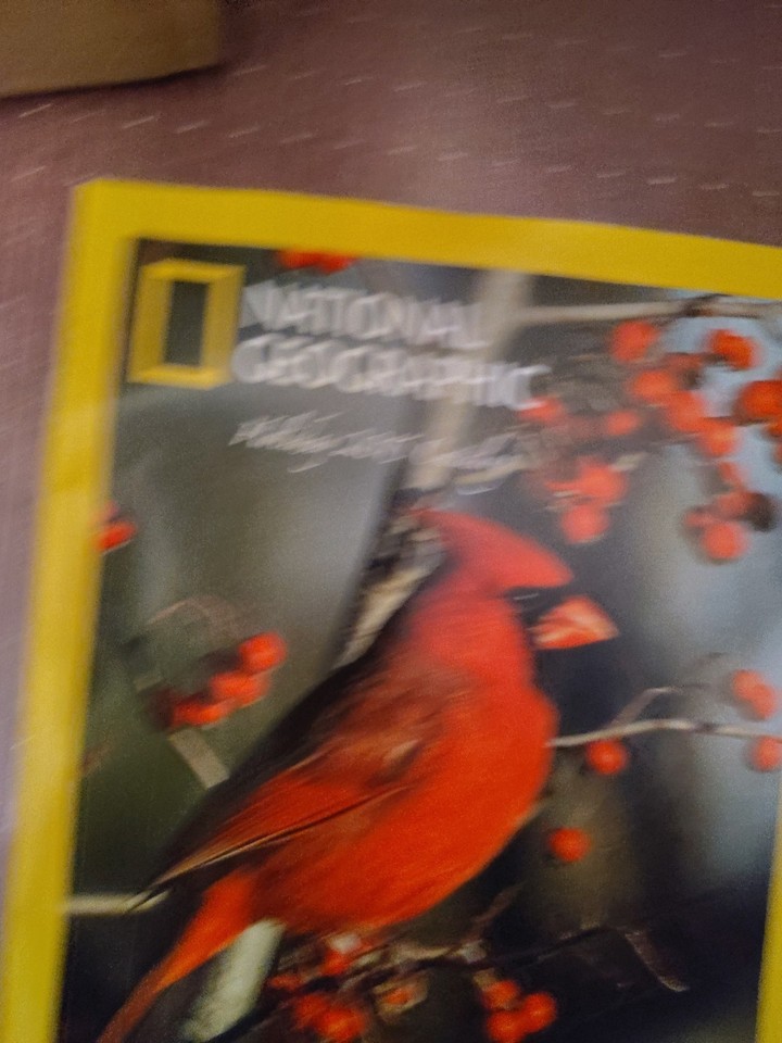 National Geographic Holiday 2015 Holiday Centuryof Exploration Catalog