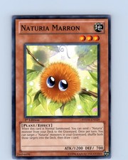Yu-Gi-Oh TCG Naturia Marron PHSW-EN029 1st Edition Regular Common Card NM
