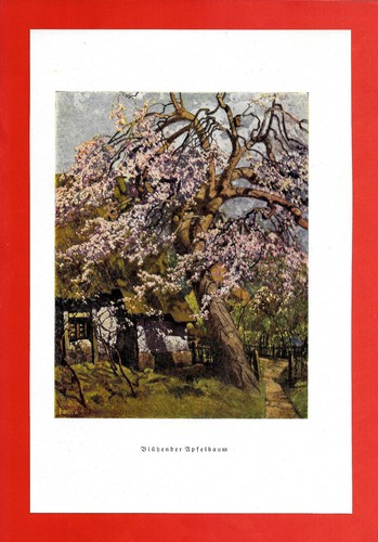 Flowering Apple Tree * Eugen Burkert (1924/25) - [TÜ-656]