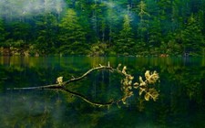 Landscape nature oregon lake mist forest green water Custom Gaming Mat Desk