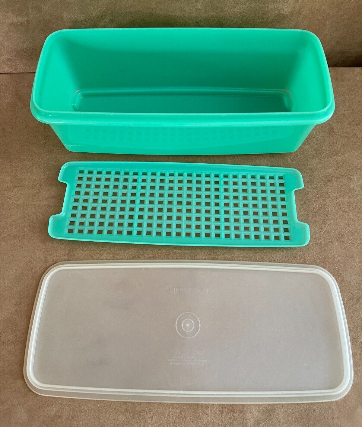 vogn person Prime Tupperware Green Celery Keeper Container 782-2 Lid &amp; tray 14.5 x  4.5&#034; fridge | eBay