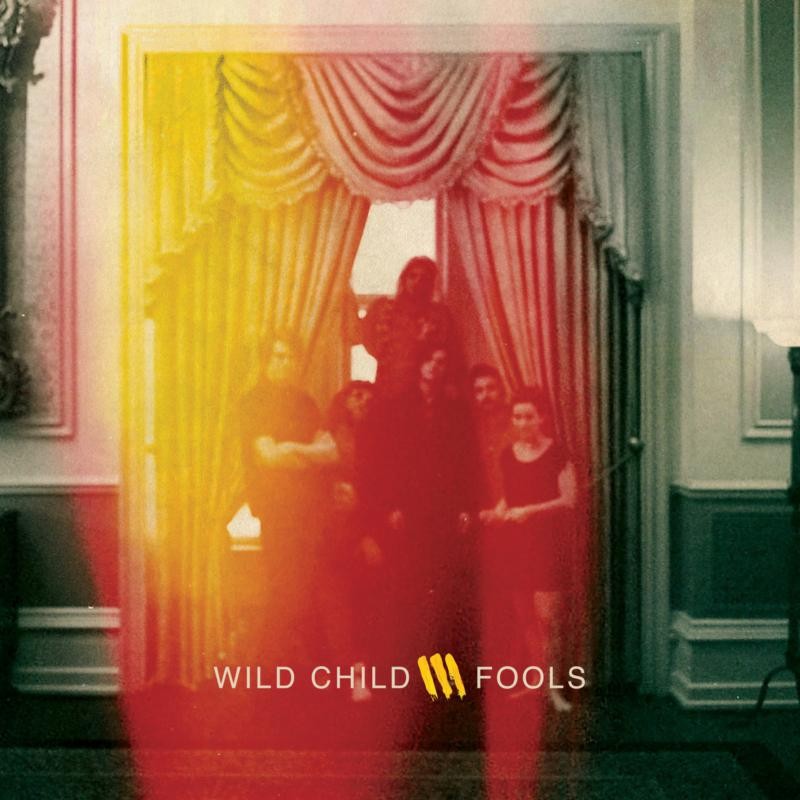 Wildchild Fools CD DUA17082 NEW