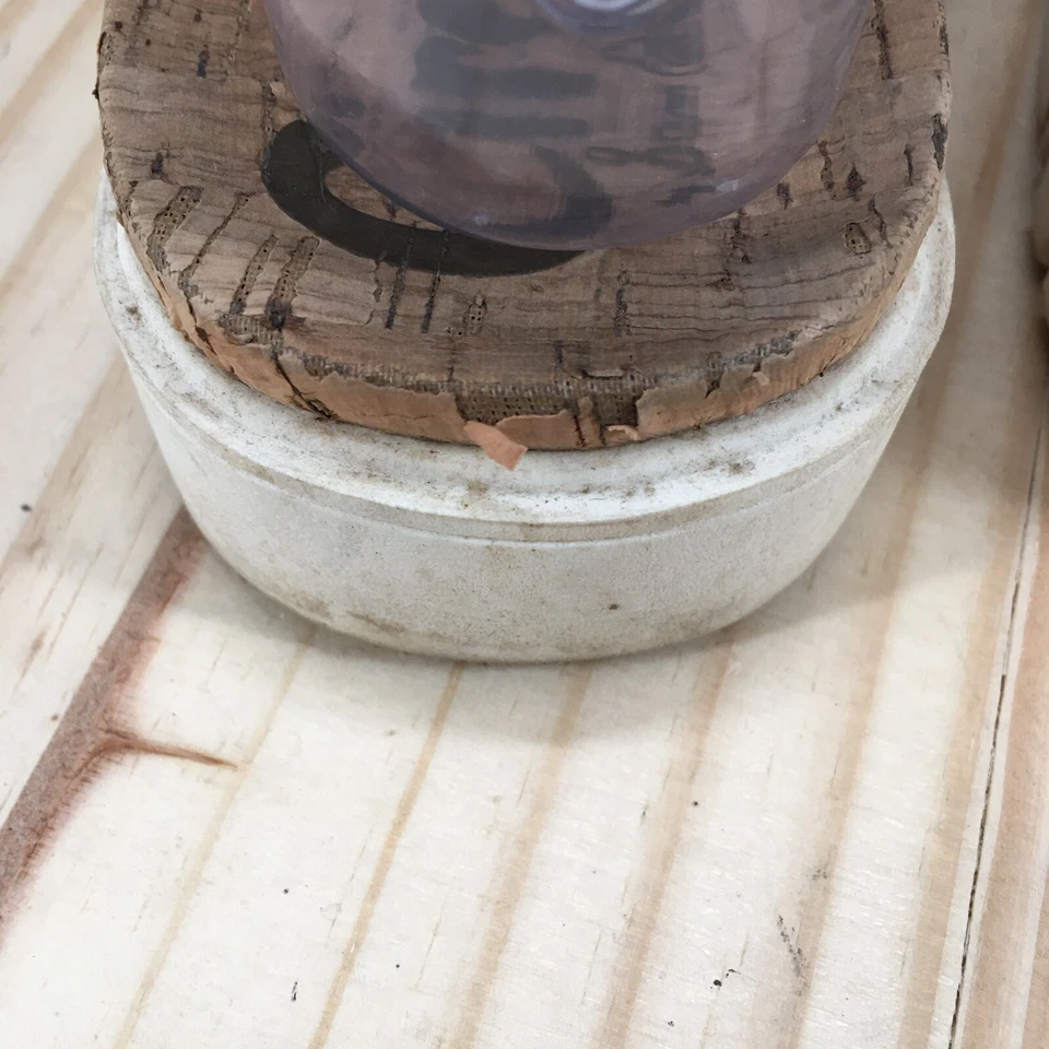 Sandalias Circus By Sam Edelman para mujer 9 tiras planas multicolores sin cordones Foto 3 de 4