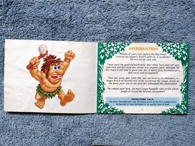 JOE & MAC Instruction Manual - No Game NES Nintendo