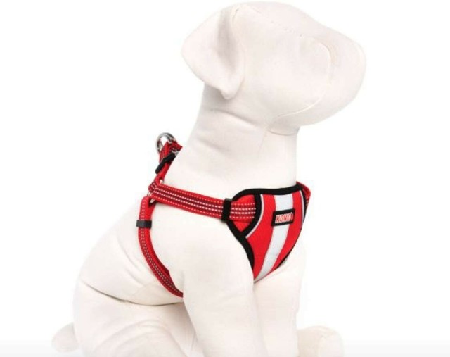 kong harness small