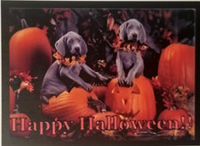Happy Halloween Dogs On Pumpkins Refrigerator Fridge MAGNET