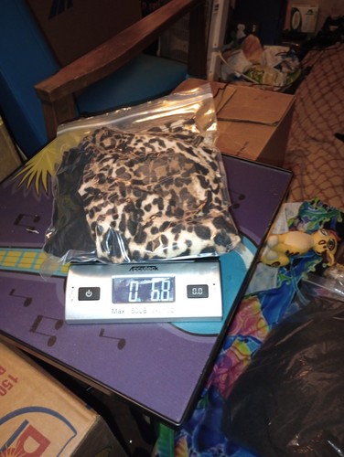 Double Zero Bleistiftkleid Damen Größe Medium Langarm Schwarz Animalprint 26×30 - Bild 13 von 13